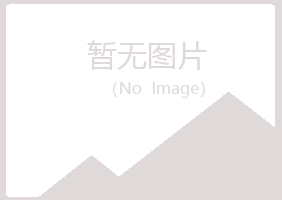 香港夏彤服务有限公司